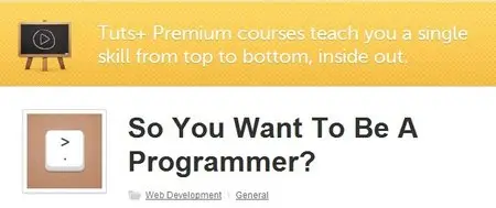 So You Want To Be A Programmer?