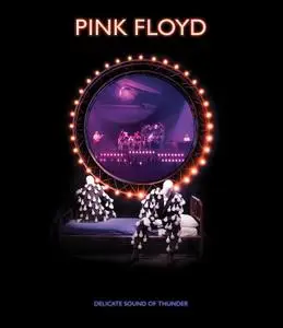 Pink Floyd - Delicate Sound Of Thunder (2020) [BDRip 24/96]
