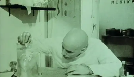 Jean-Pierre Jeunet - Le Bunker de la Derniere Rafale