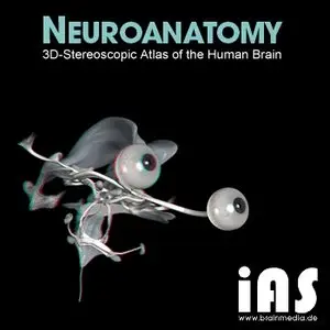 Neuroanatomy: 3D-Stereoscopic Atlas of the Human Brain