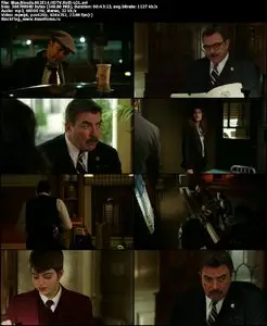 Blue Bloods S02E14 "Parenthood"