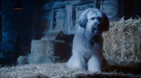 Pudsey – Un ciclone a 4 zampe / Pudsey the Dog: The Movie (2014)