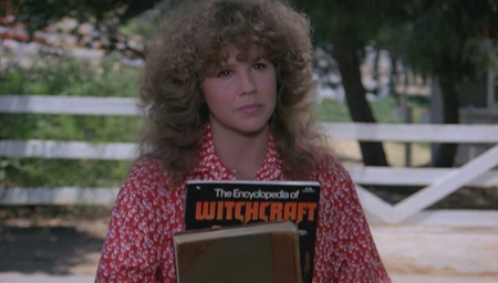 Stranger in Our House (1978)