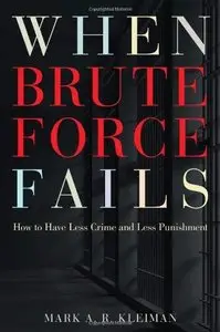 When Brute Force Fails: How to Have Less Crime and Less Punishment (Repost)