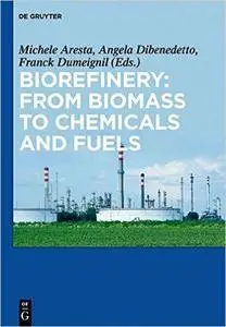 Biorefinery: From Biomass to Chemicals and Fuels