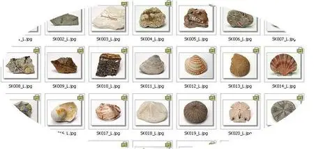 Datacrafi Sozaijitn Vol. 011