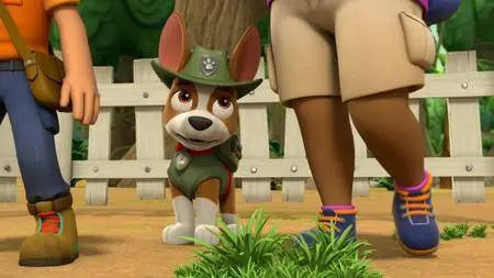 Paw Patrol S05E19