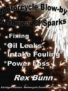 Motorcycle Blow-by: A Shower of Sparks  Abridged Version