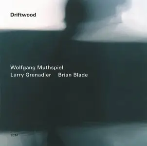 Wolfgang Muthspiel, Larry Grenadier & Brian Blade - Driftwood (2014) {ECM}