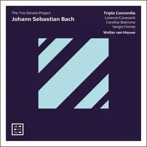 Walter van Hauwe & Tripla Concordia - Bach: The Trio Sonata Project (2019)