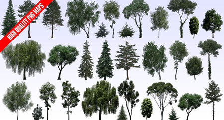 Evermotion – Textures4ever vol.8 – Trees
