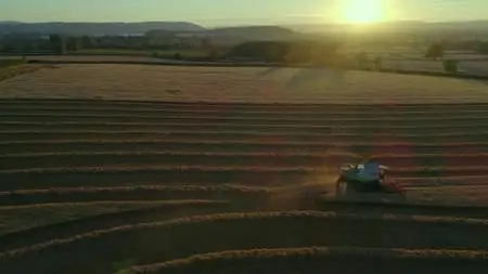 Wild Britain S01E07