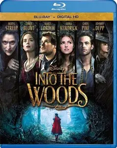 Into the Woods / Чем Дальше в лес (2014)