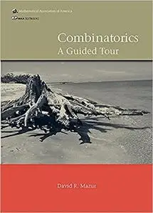 Combinatorics: A Guided Tour (Repost)