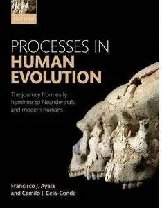 Processes in Human Evolution: The journey from early hominins to Neanderthals and modern humans [Repost]