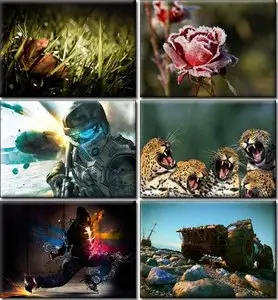 Amazing Desktop Wallpapers (35)