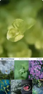 Design EXchange | SH-LAE05 | Botanical Style