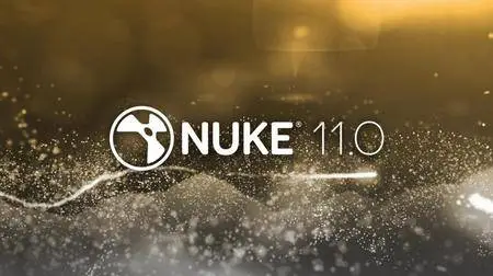 The Foundry Nuke Studio 11.0v2