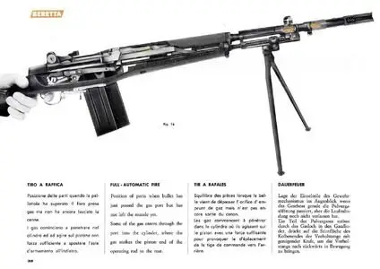 Beretta 7.62 mm NATO BM59 (Repost)