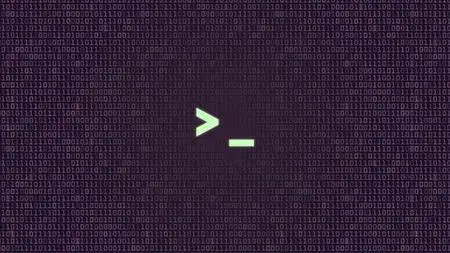 Bash Scripting and Shell Programming Linux Command Line