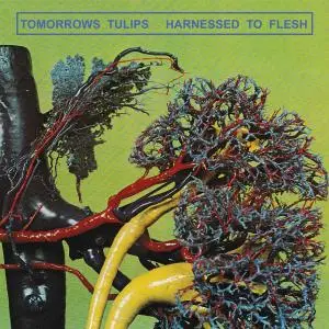 Tomorrows Tulips - Harnessed to Flesh (2018)