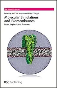 Molecular Simulations and Biomembranes: From Biophysics to Function