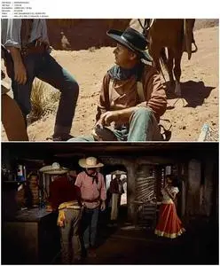 The Searchers (1956)