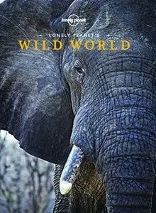 Lonely Planet's Wild World