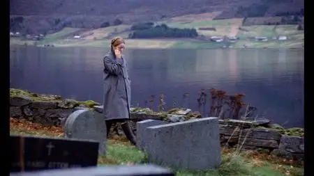 Autumn Sonata (1978) [The Criterion Collection #60] (2013 Reissue)