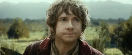 The Hobbit: The Desolation of Smaug (2013)