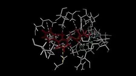 Molecular Docking 2023