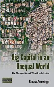 Big Capital in an Unequal World: The Micropolitics of Wealth in Pakistan (Dislocations)