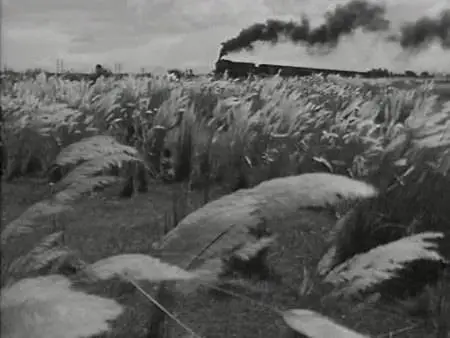 Satyajit Ray-Pather Panchali (1955)