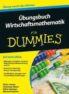 Übungsbuch Wirtschaftsmathematik für Dummies