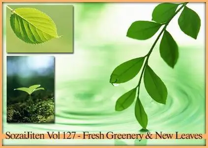 DataCraft SozaiJiten Vol 127 - Fresh Greenery & New Leaves