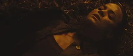 Predator (2010)