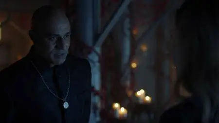 12 Monkeys S03 (2017)