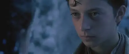Golemata Voda (The Great Water) (2007)