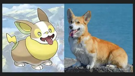 Pokémon Science: Cool Cats and Delightful Dogs