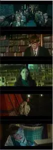 The Theory of Everything (2014)