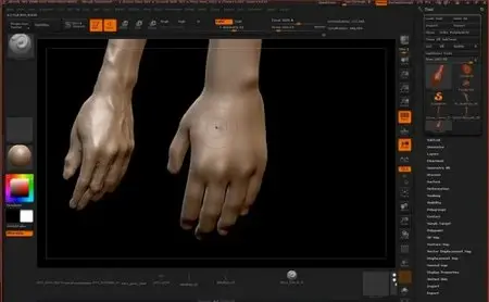 ZBrushworkshops - Fundamentals Of Anatomy Arm And Leg