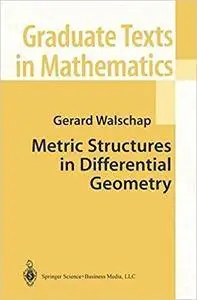 Metric Structures in Differential Geometry (Repost)