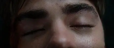 Charlie St. Cloud (2010)