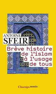 Antoine Sfeir, "Brève histoire de l'islam à l'usage de tous"