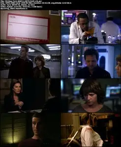 CSI: NY S08E11 "Who's There"