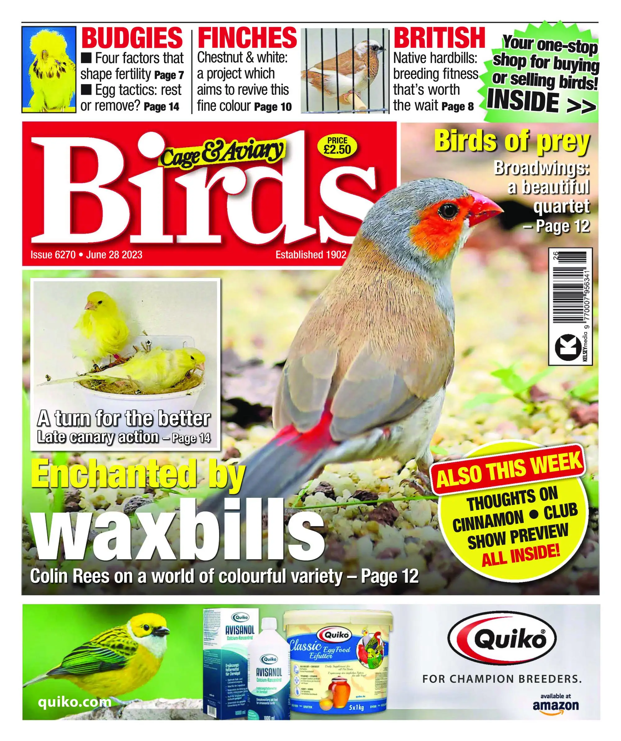 Cage & Aviary Birds – 28 June 2023