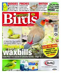 Cage & Aviary Birds – 28 June 2023