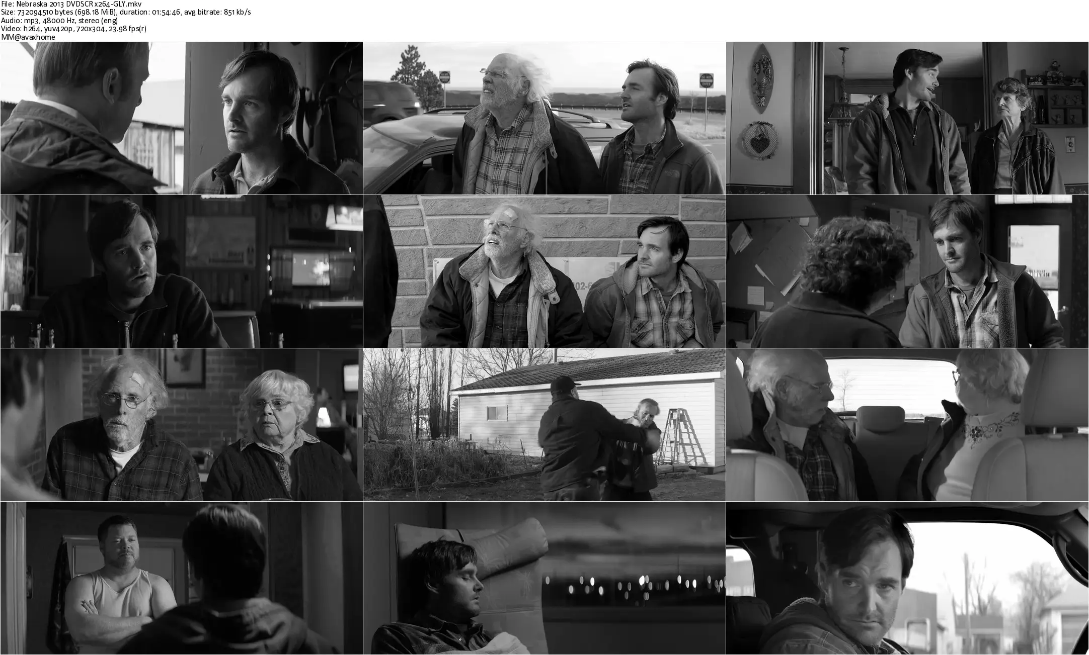 Nebraska (2013)