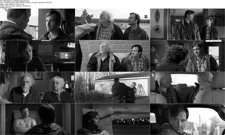 Nebraska (2013)