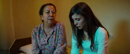 Almanya - La mia famiglia va in Germania (2011)